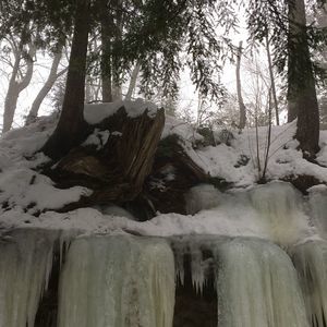 Meet your Posher, Ailish